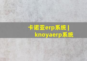 卡诺亚erp系统 | knoyaerp系统